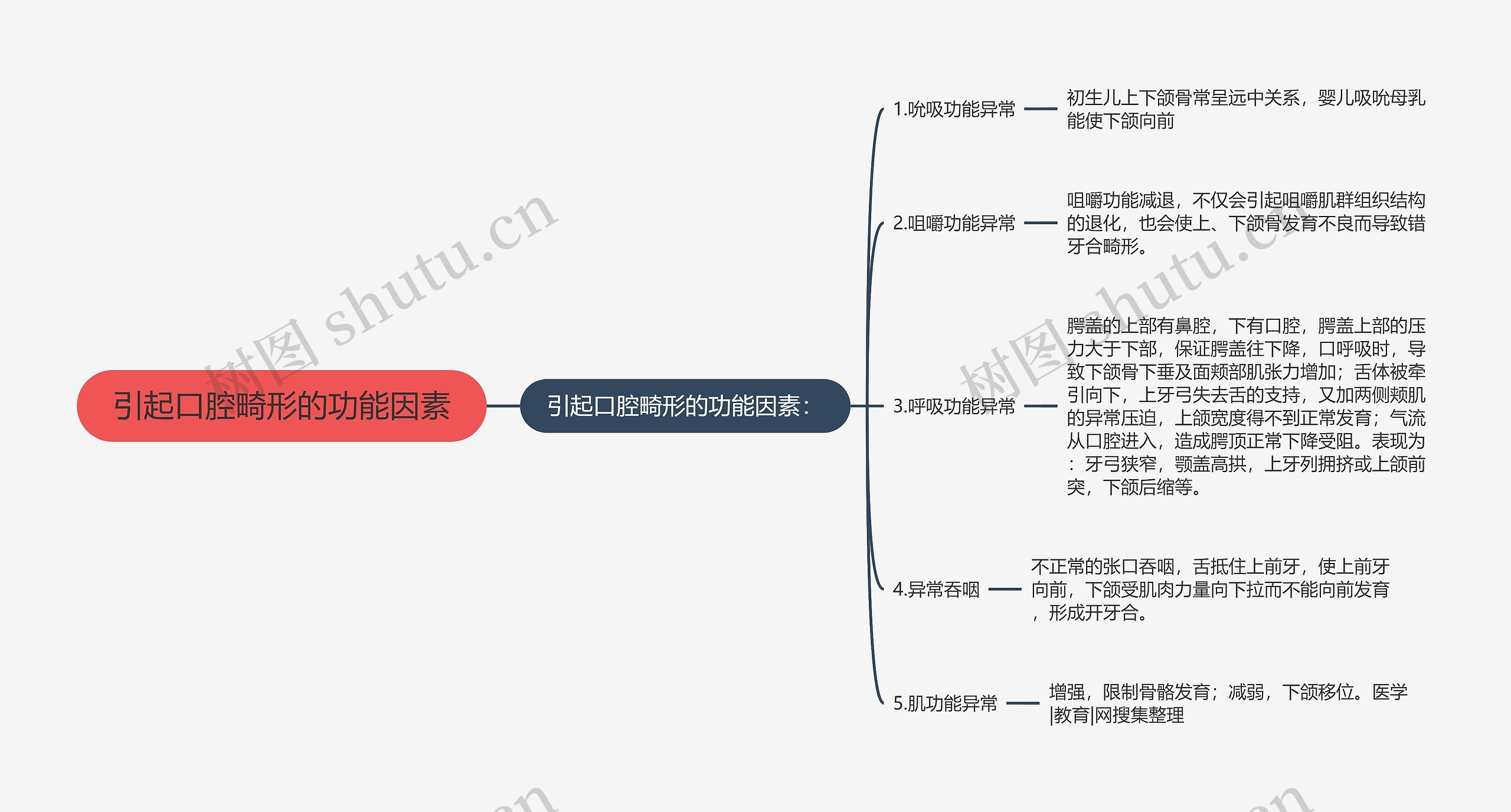 引起口腔畸形的功能因素思维导图