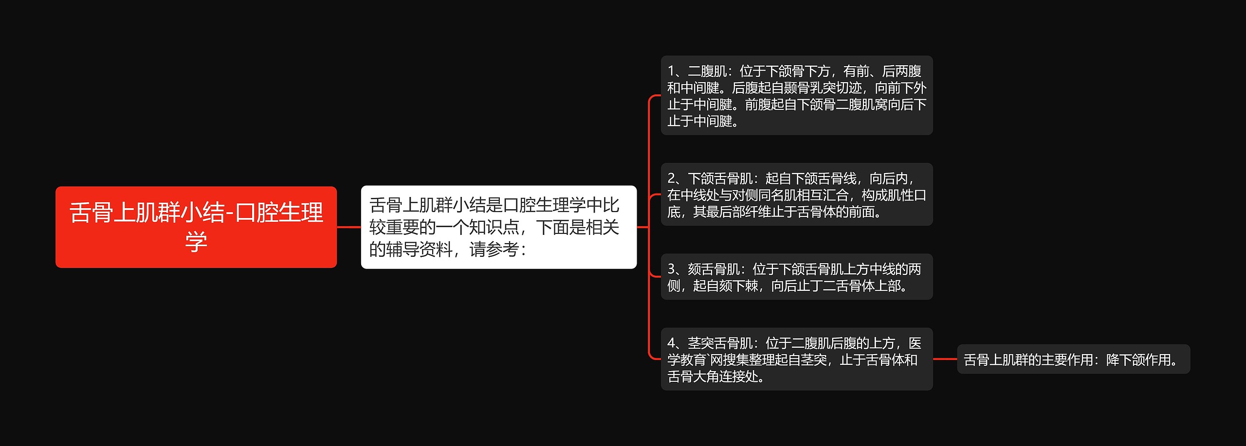 舌骨上肌群小结-口腔生理学