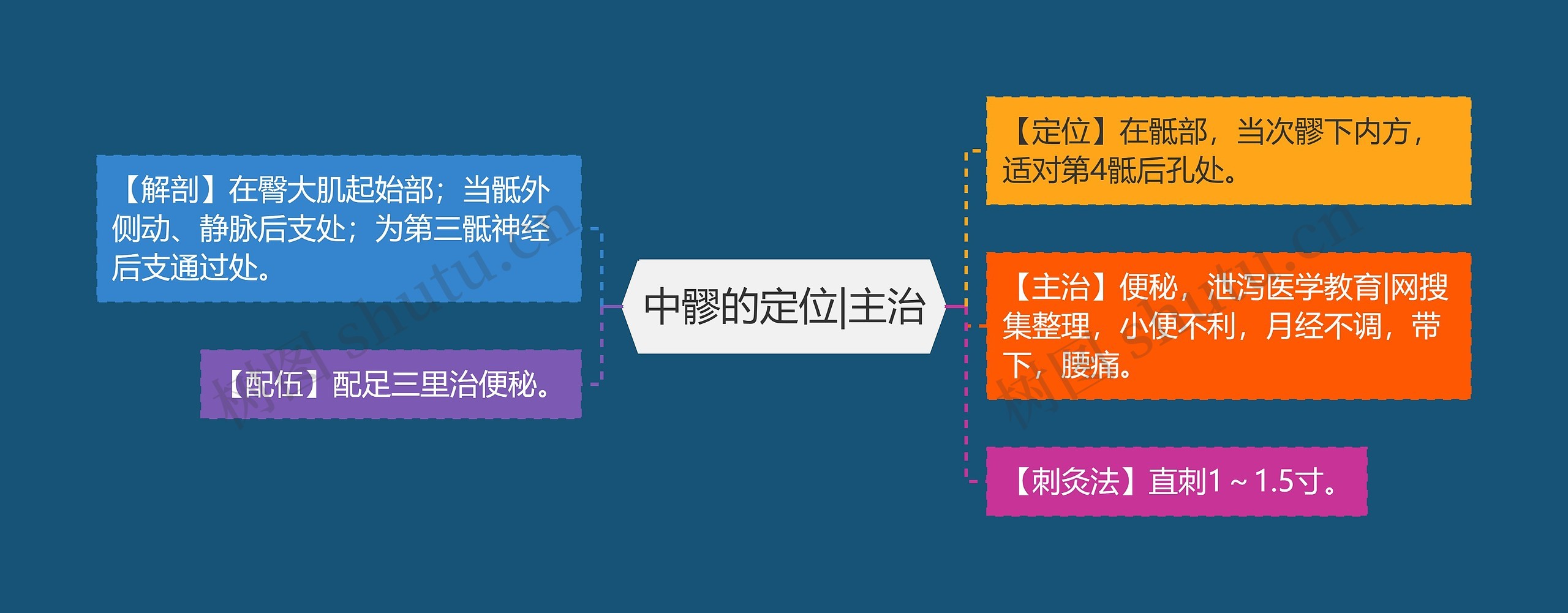 中髎的定位|主治 中髎的定位|主治