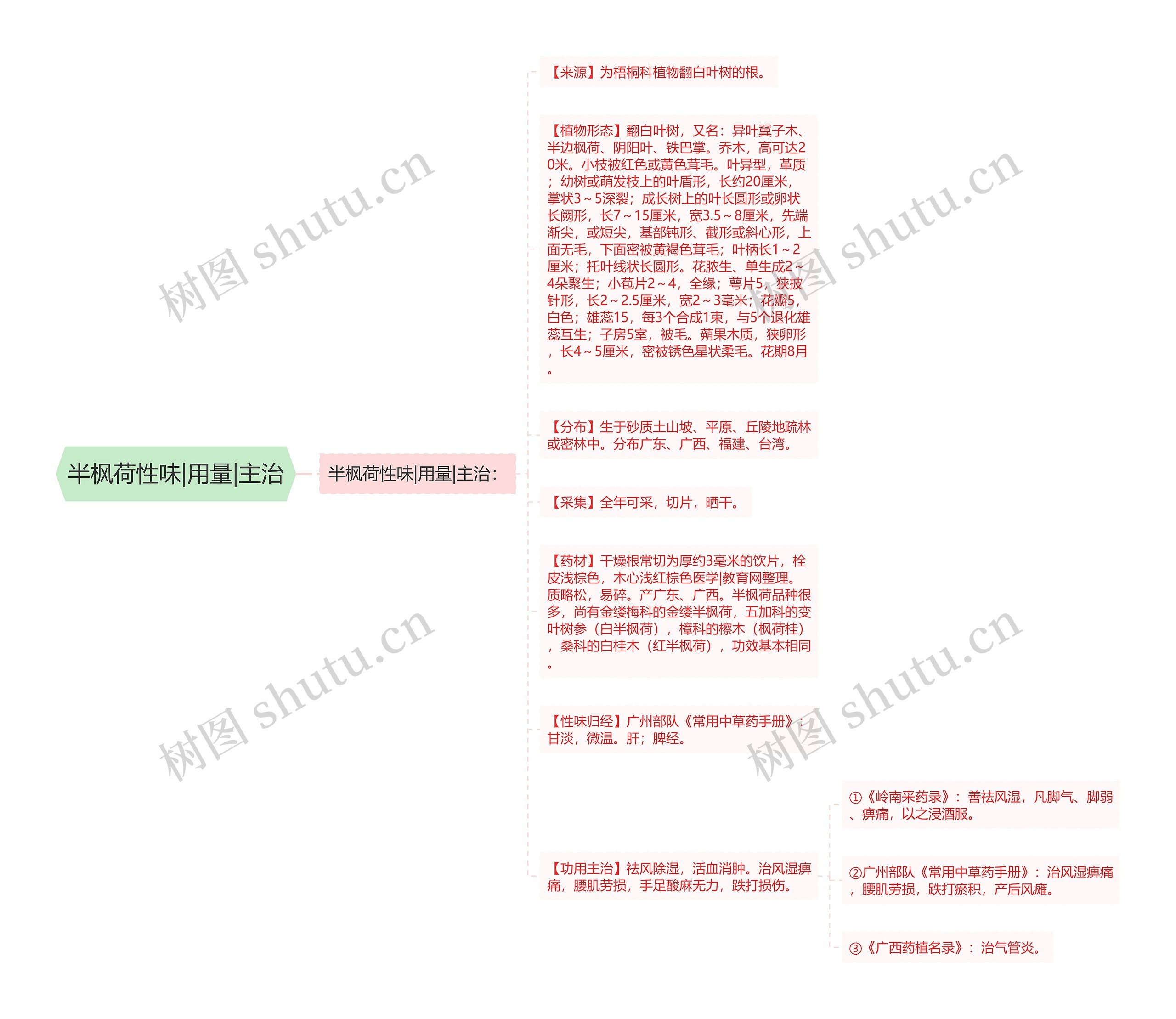 半枫荷性味|用量|主治思维导图