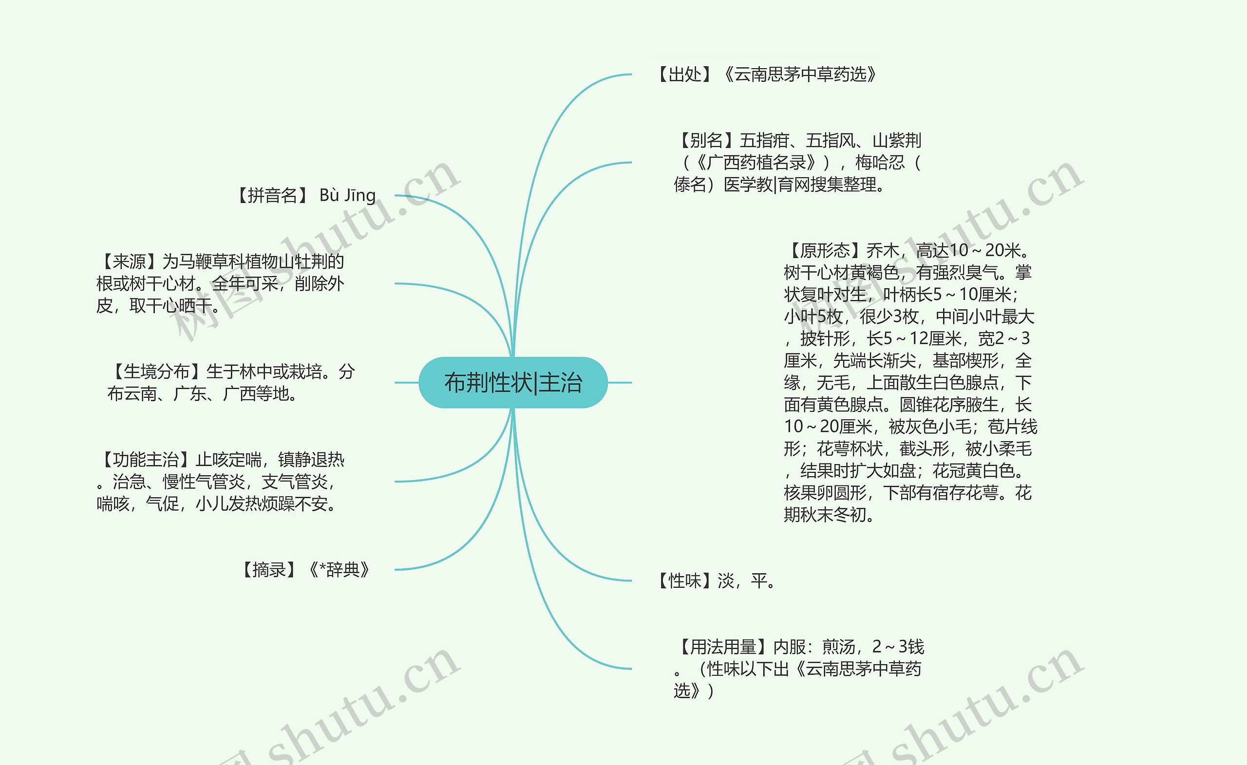 布荆性状|主治思维导图