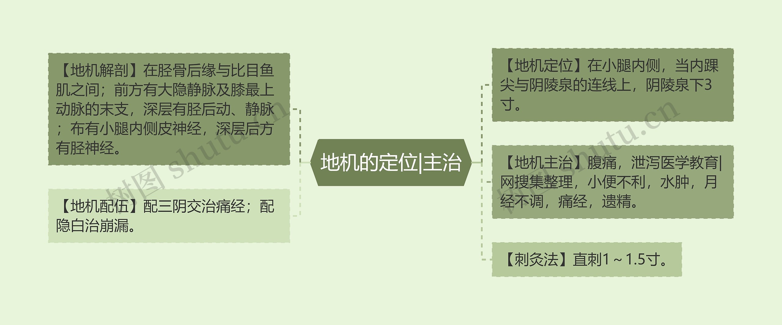 地机的定位|主治 地机的定位|主治