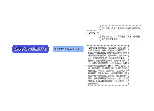 斑花杓兰来源与原形态