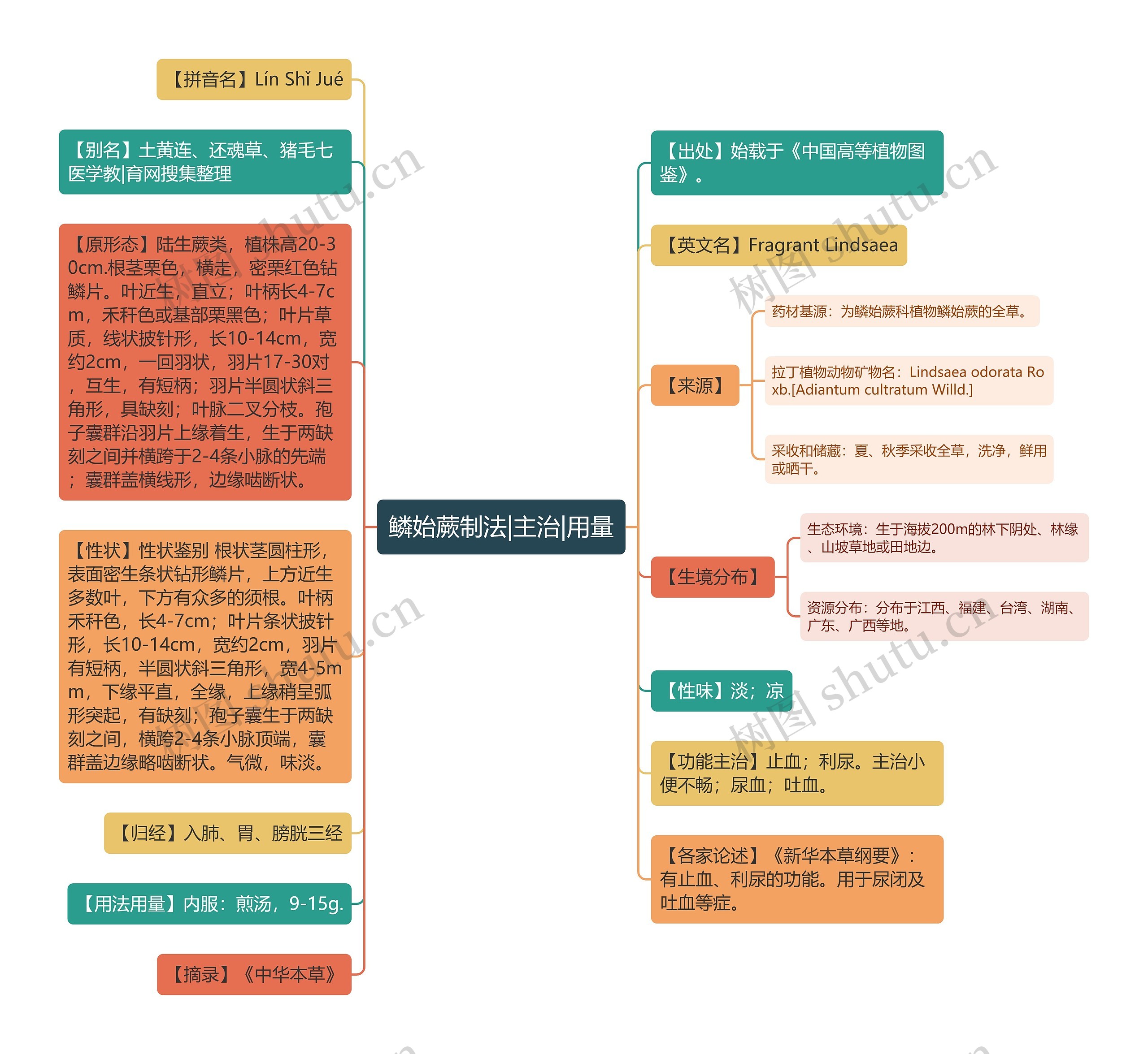 鳞始蕨制法|主治|用量