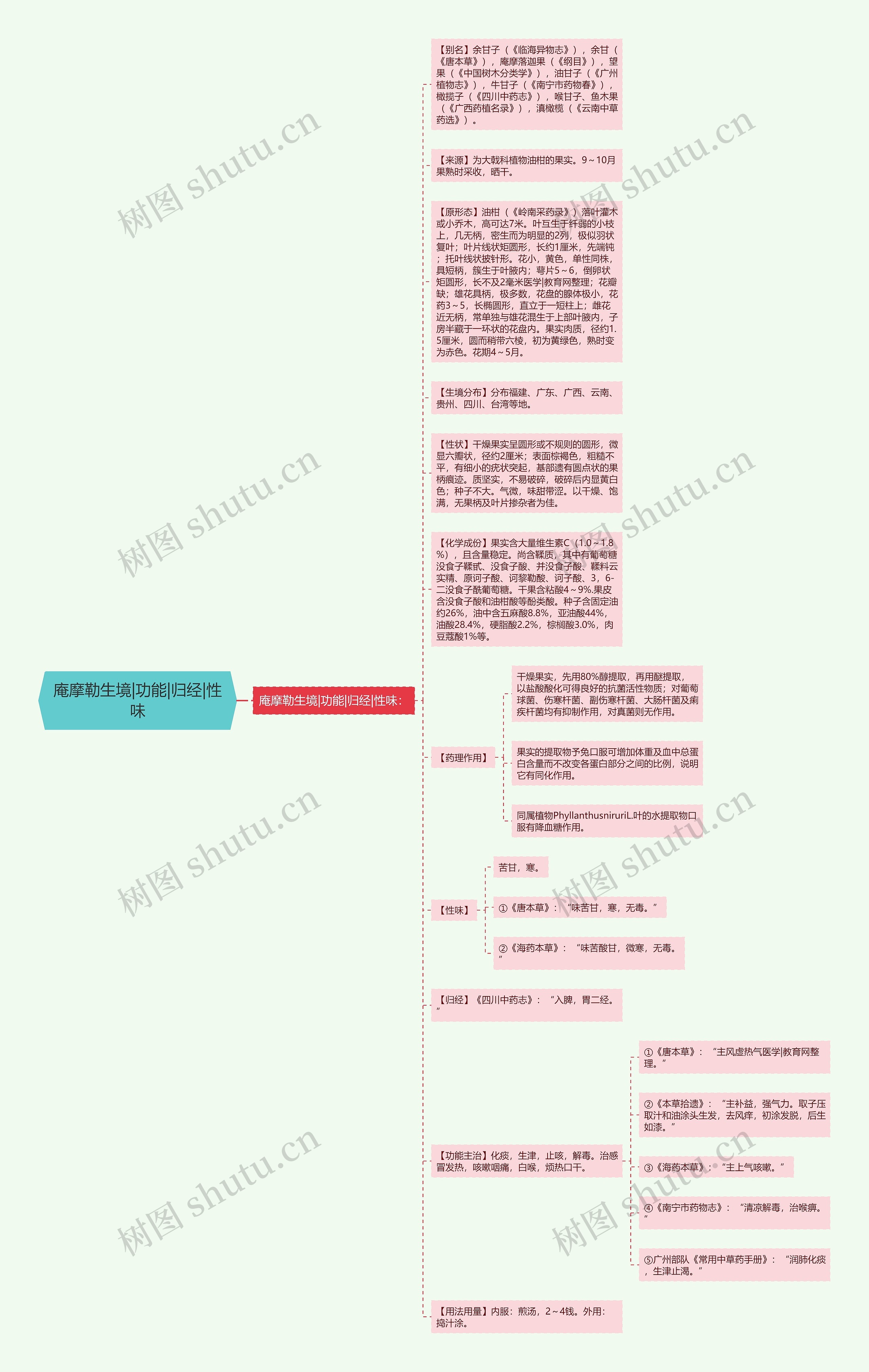 庵摩勒生境|功能|归经|性味思维导图