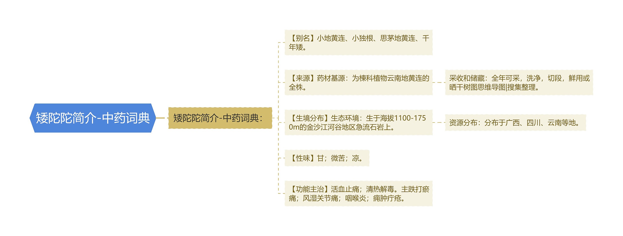 矮陀陀简介-中药词典思维导图