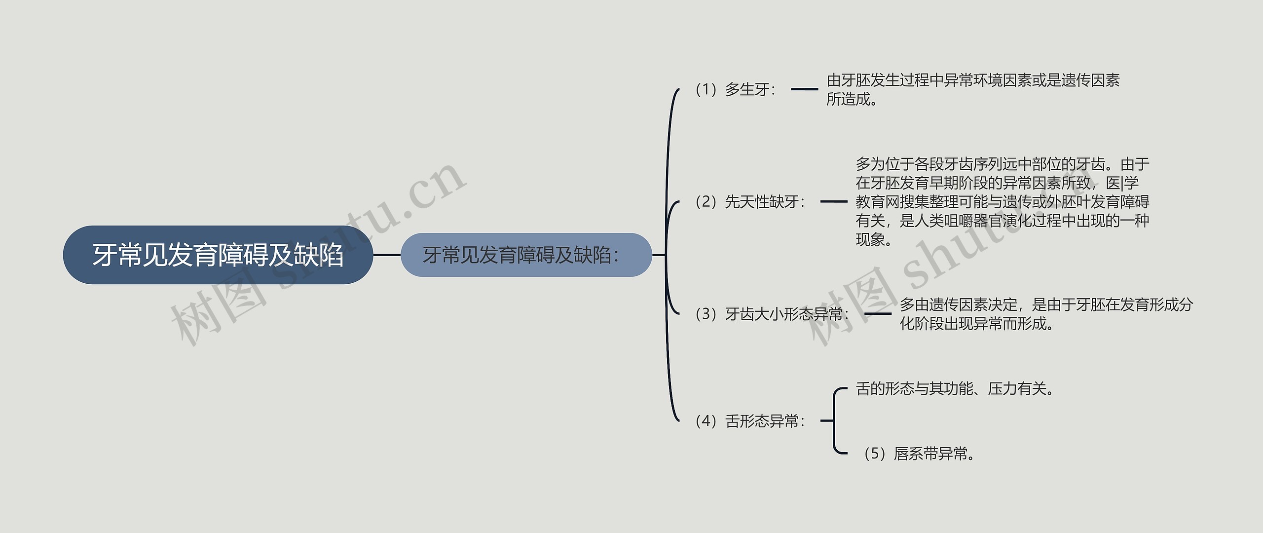 牙常见发育障碍及缺陷