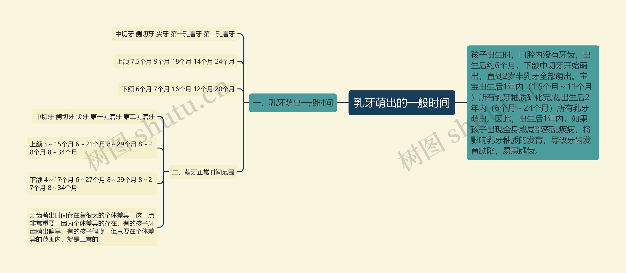 乳牙萌出的一般时间思维导图