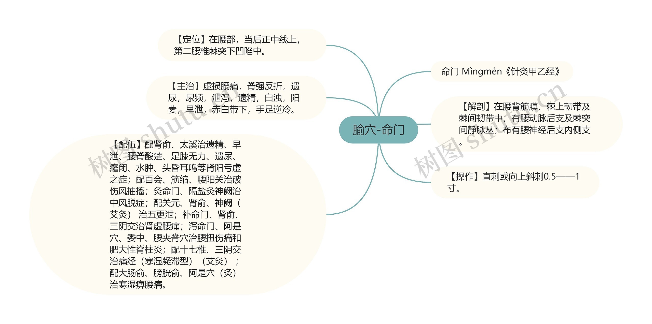 腧穴-命门思维导图