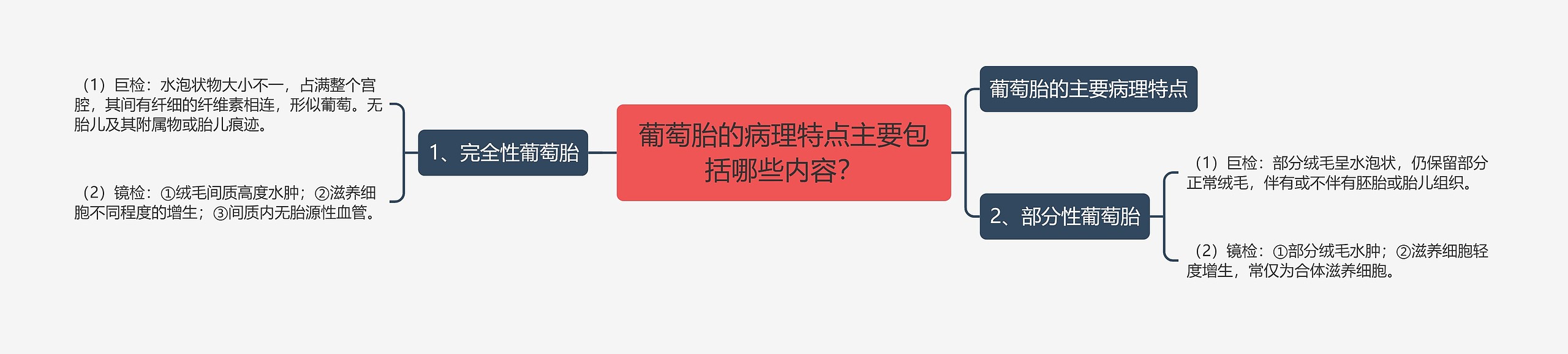 葡萄胎的病理特点主要包括哪些内容？思维导图