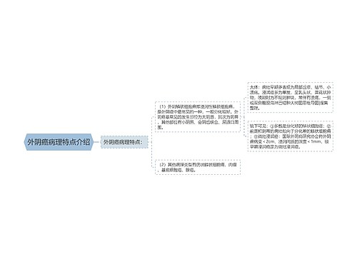 外阴癌病理特点介绍