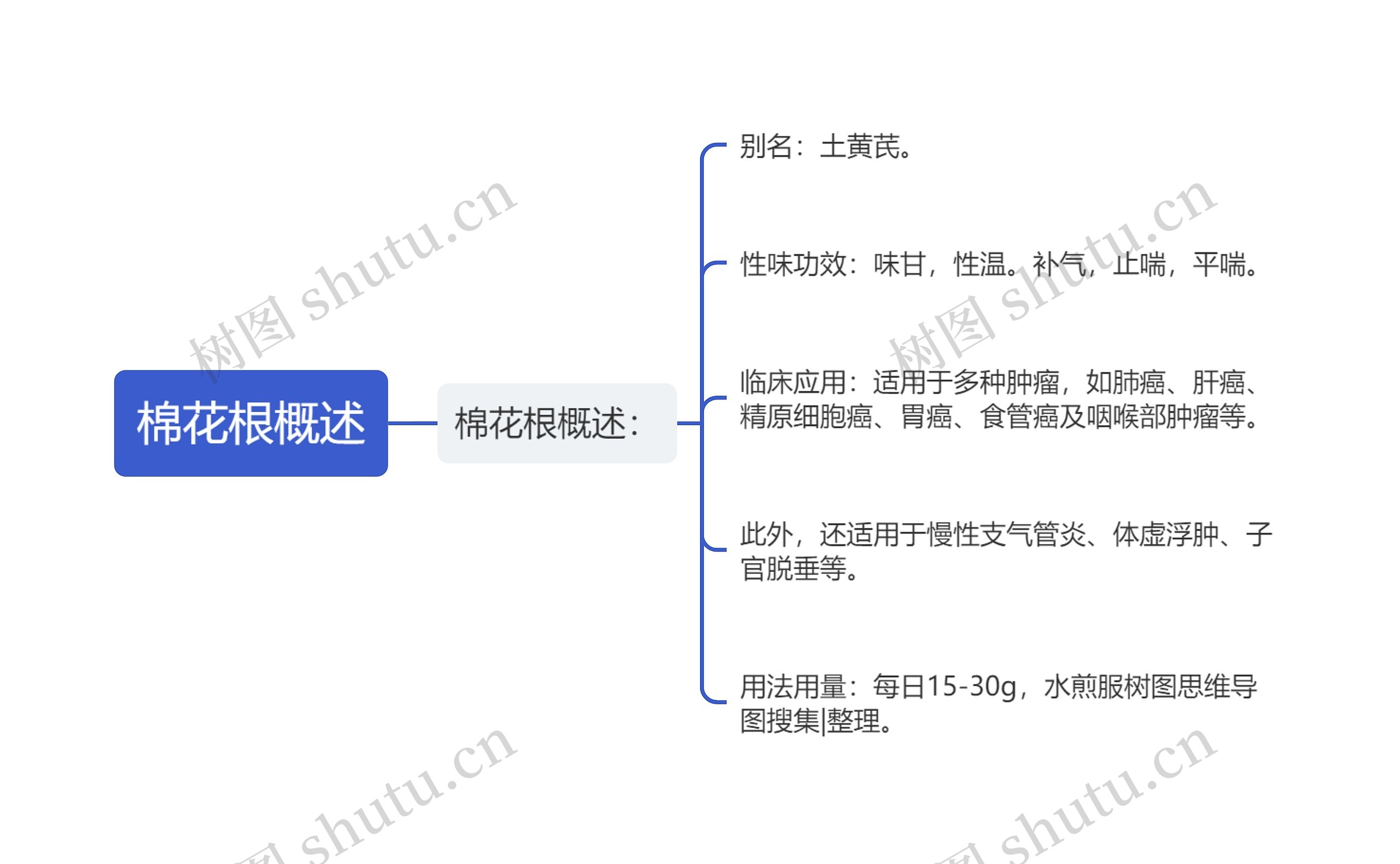 棉花根概述思维导图