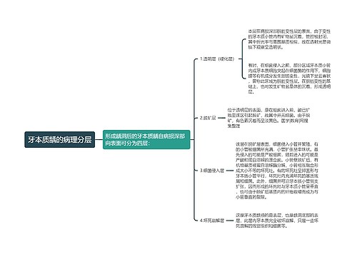 牙本质龋的病理分层