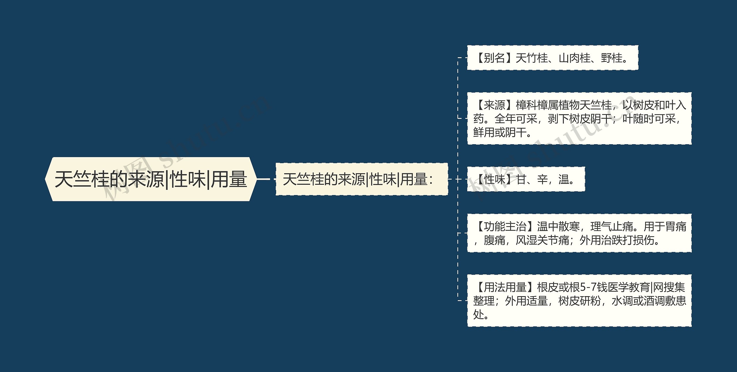 天竺桂的来源|性味|用量思维导图