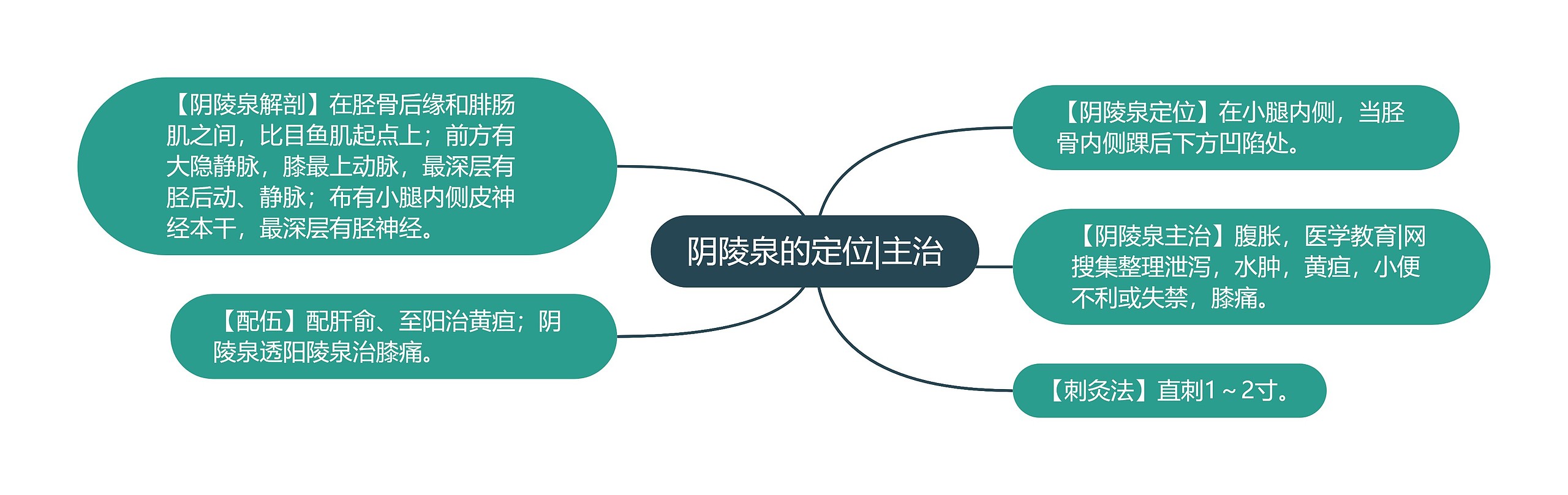 阴陵泉的定位|主治 阴陵泉的定位|主治