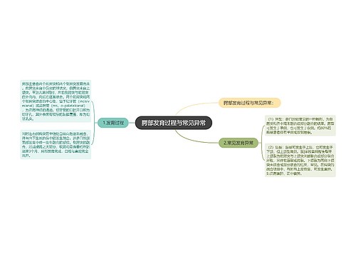 腭部发育过程与常见异常