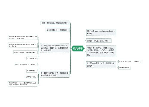 颈交感干