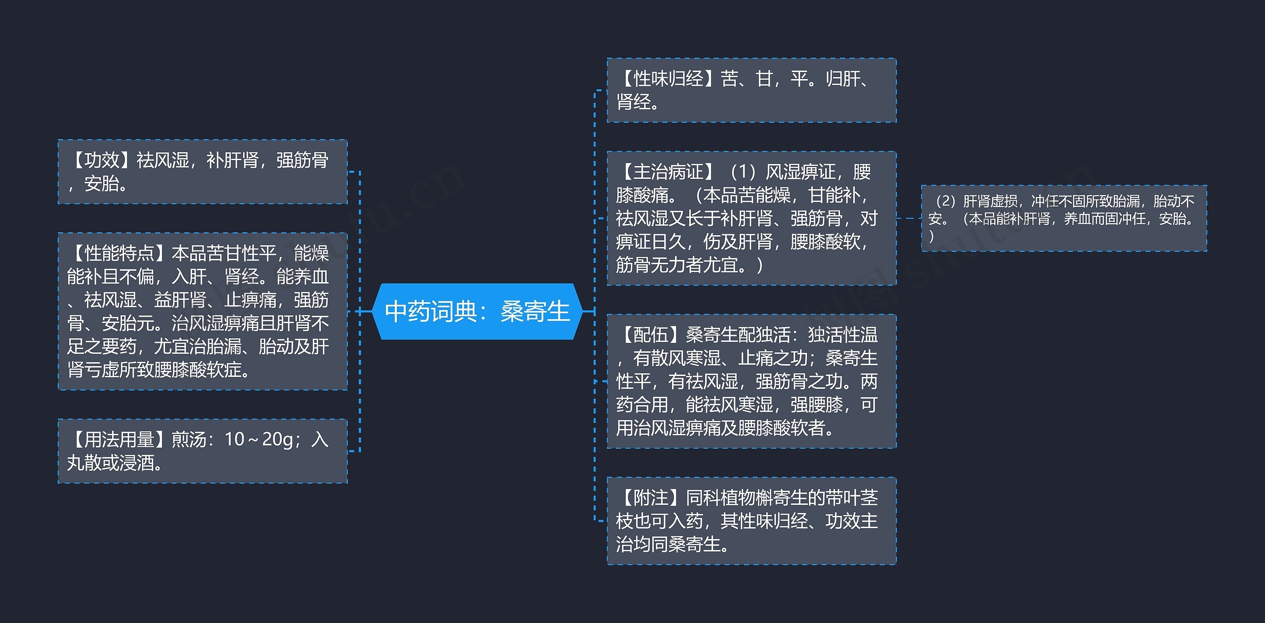 中药词典：桑寄生思维导图