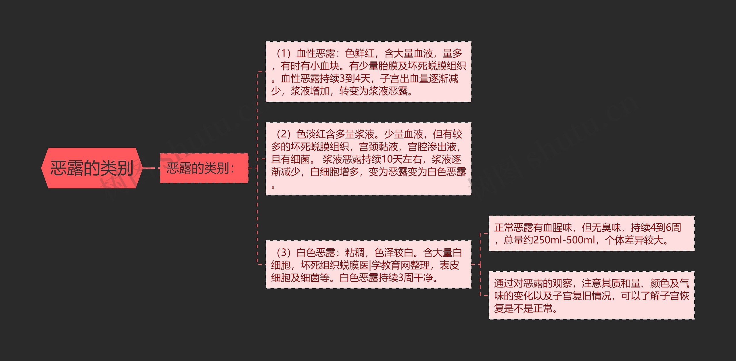 恶露的类别思维导图