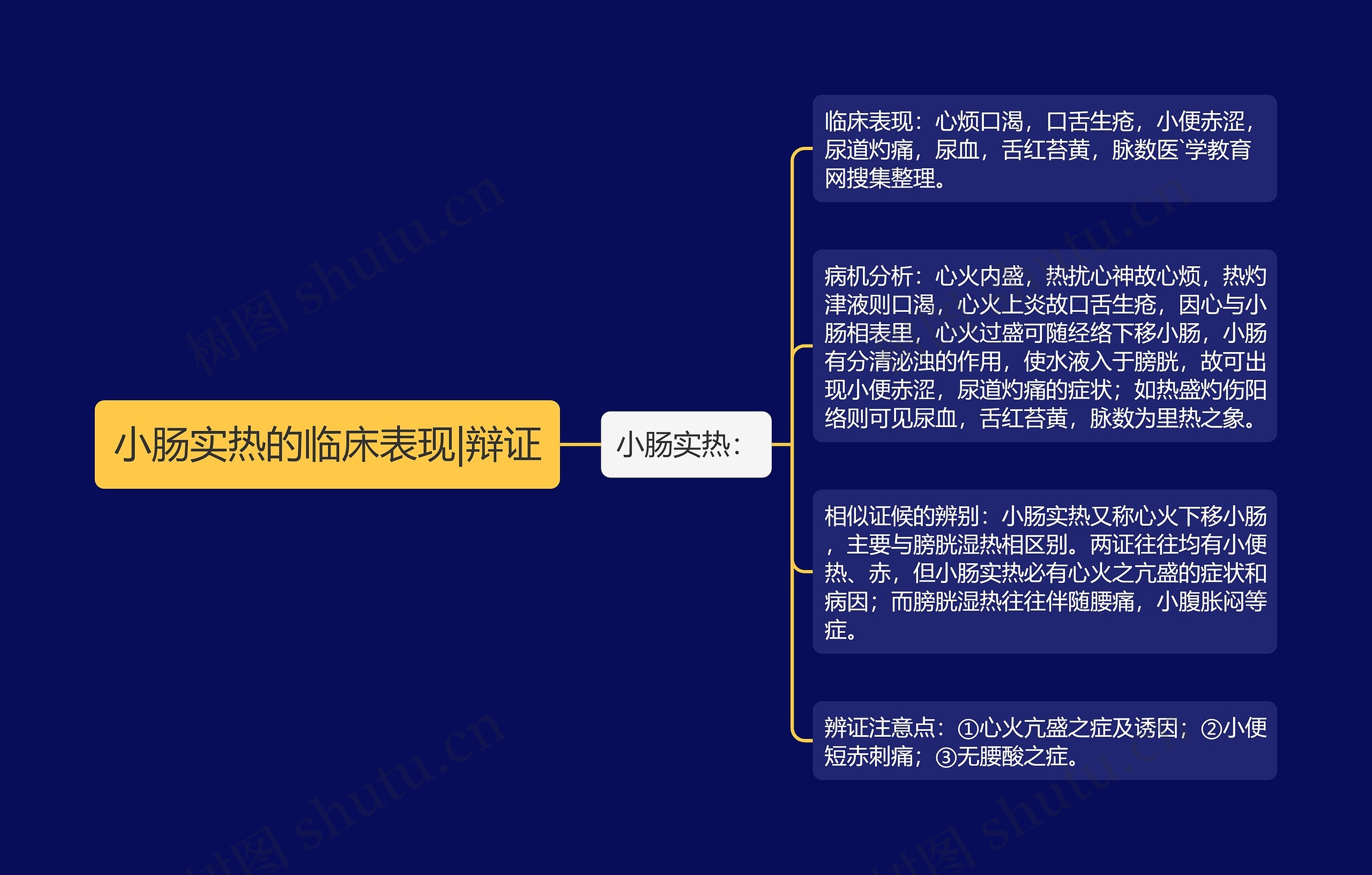 小肠实热的临床表现|辩证思维导图