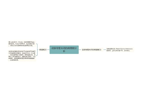 动脉导管未闭的病理额分析