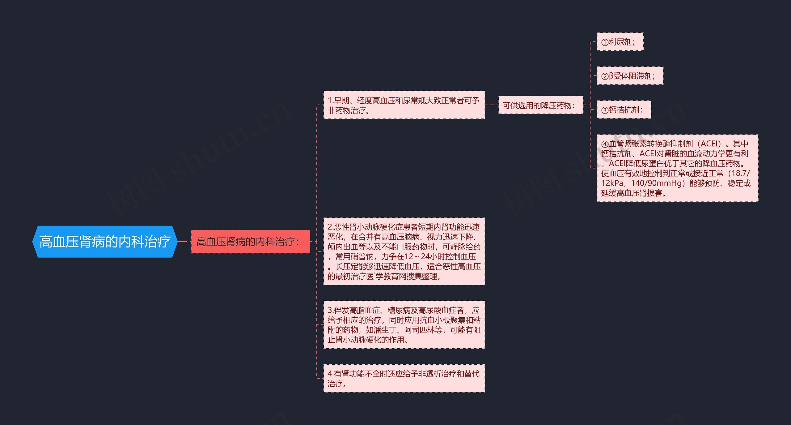 高血压肾病的内科治疗思维导图