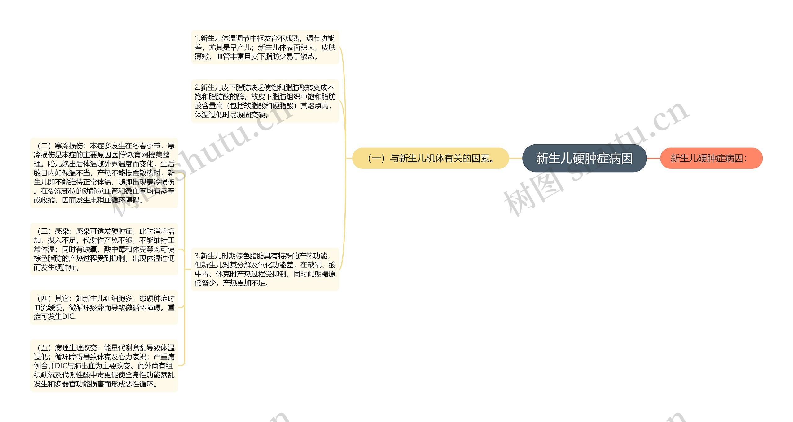 新生儿硬肿症病因思维导图