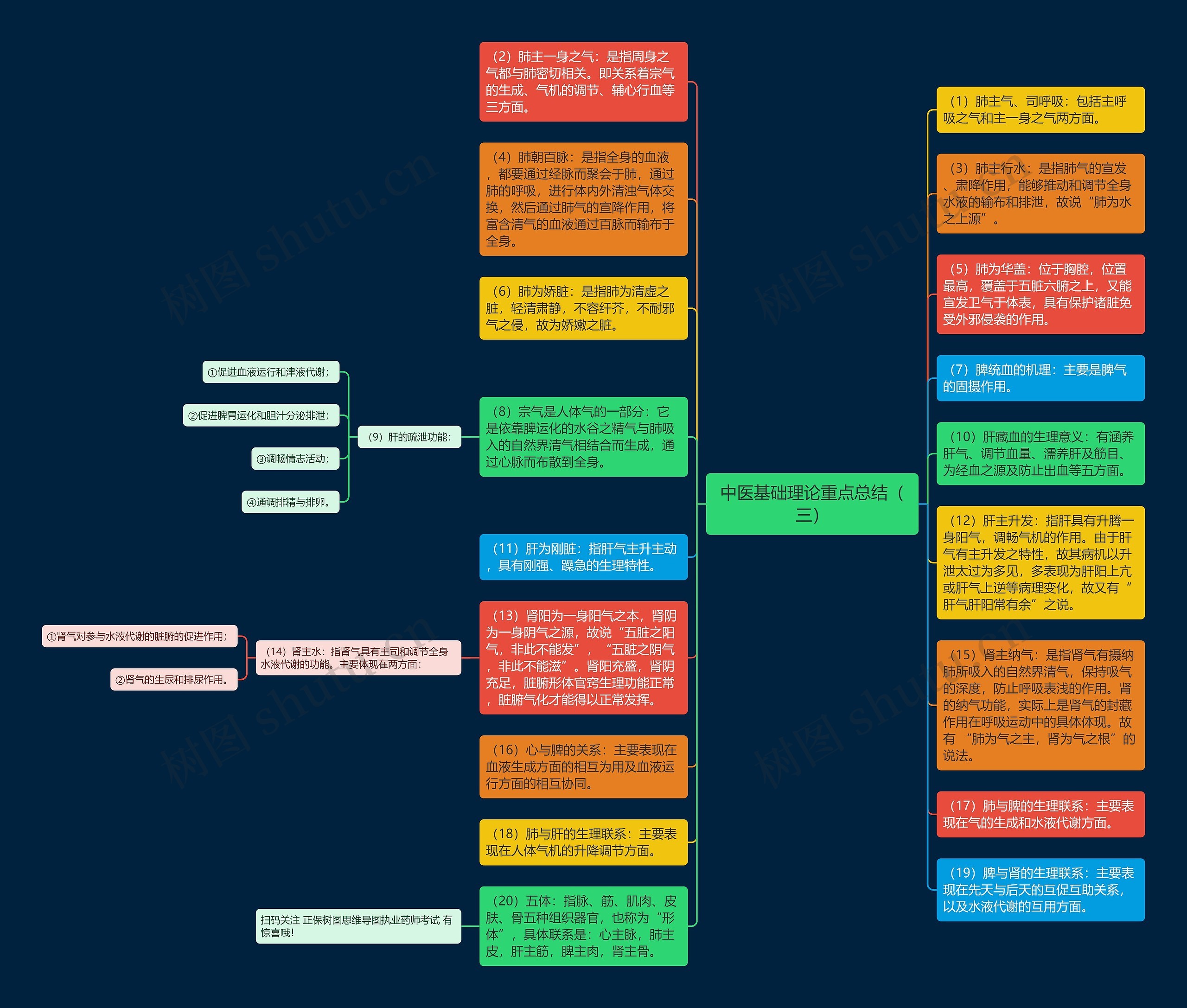 中医基础理论重点总结（三）思维导图
