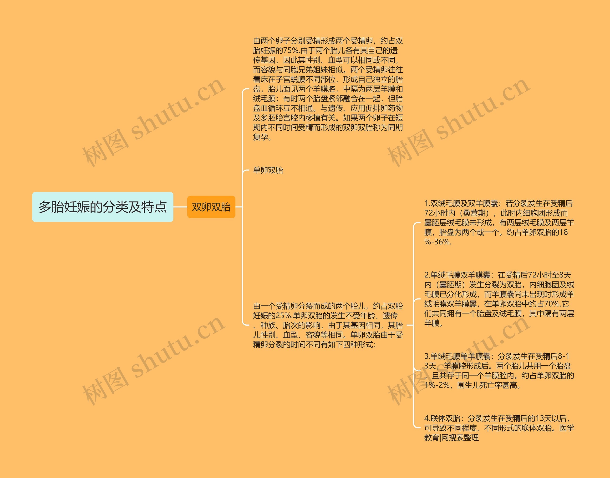 多胎妊娠的分类及特点