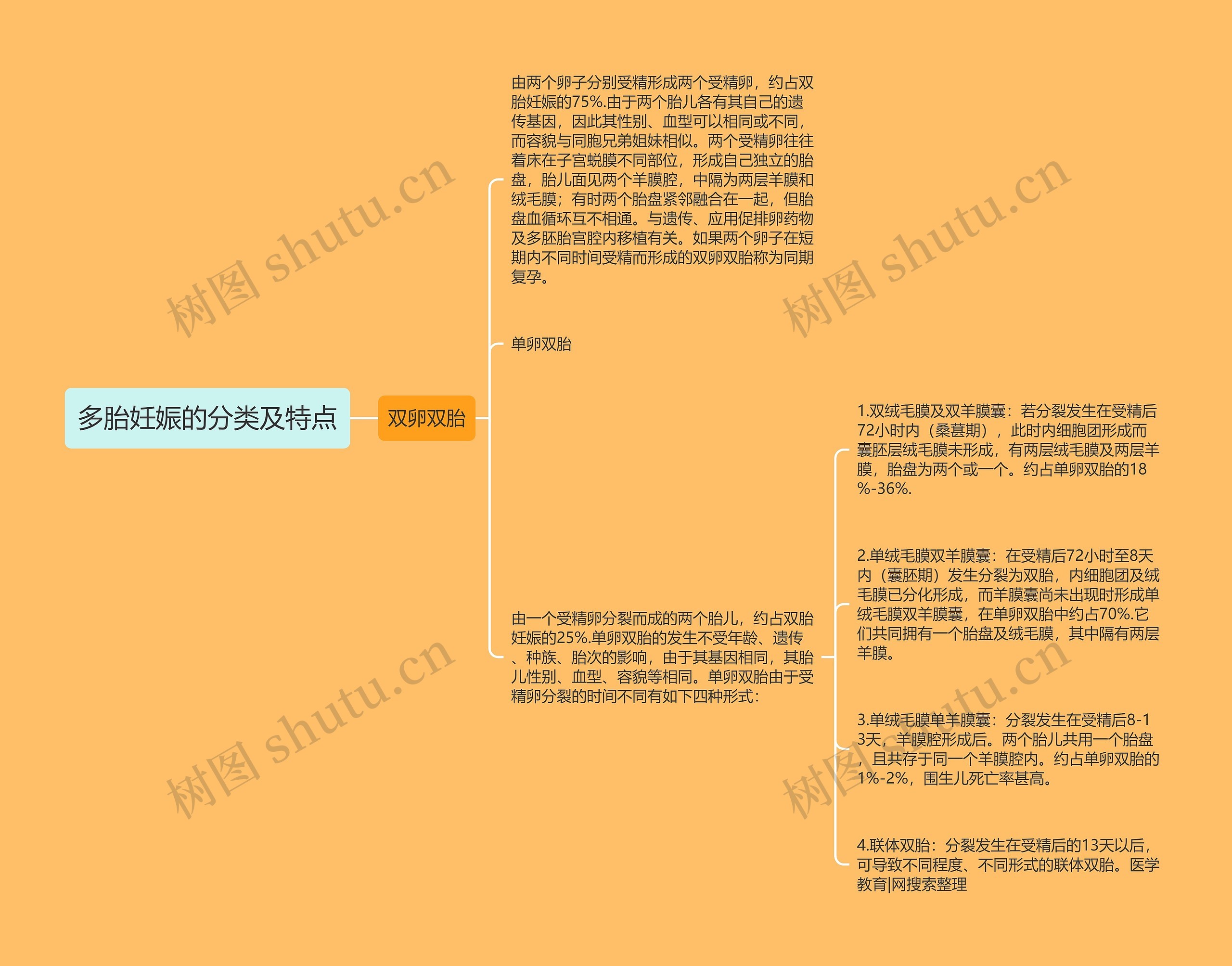 多胎妊娠的分类及特点思维导图