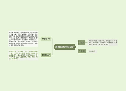 寒湿痢的辨证施治