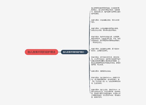 胎儿发育不同阶段护理法