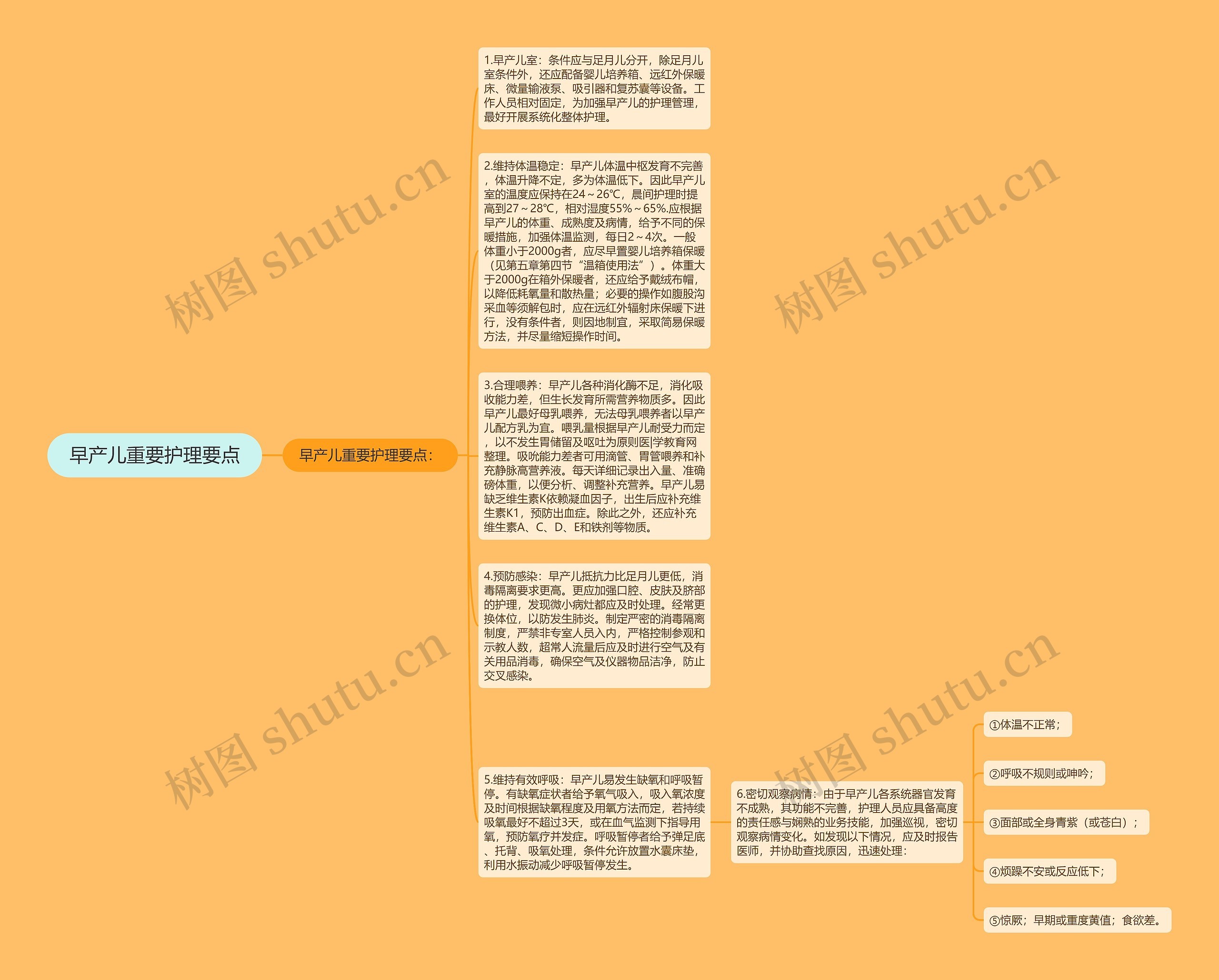 早产儿重要护理要点思维导图