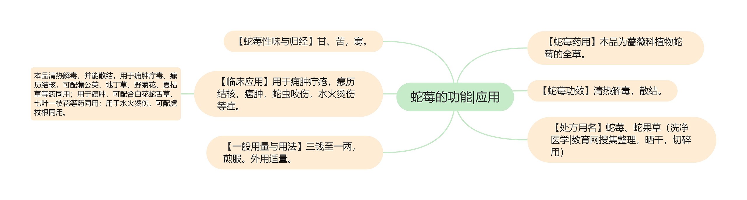 蛇莓的功能|应用思维导图