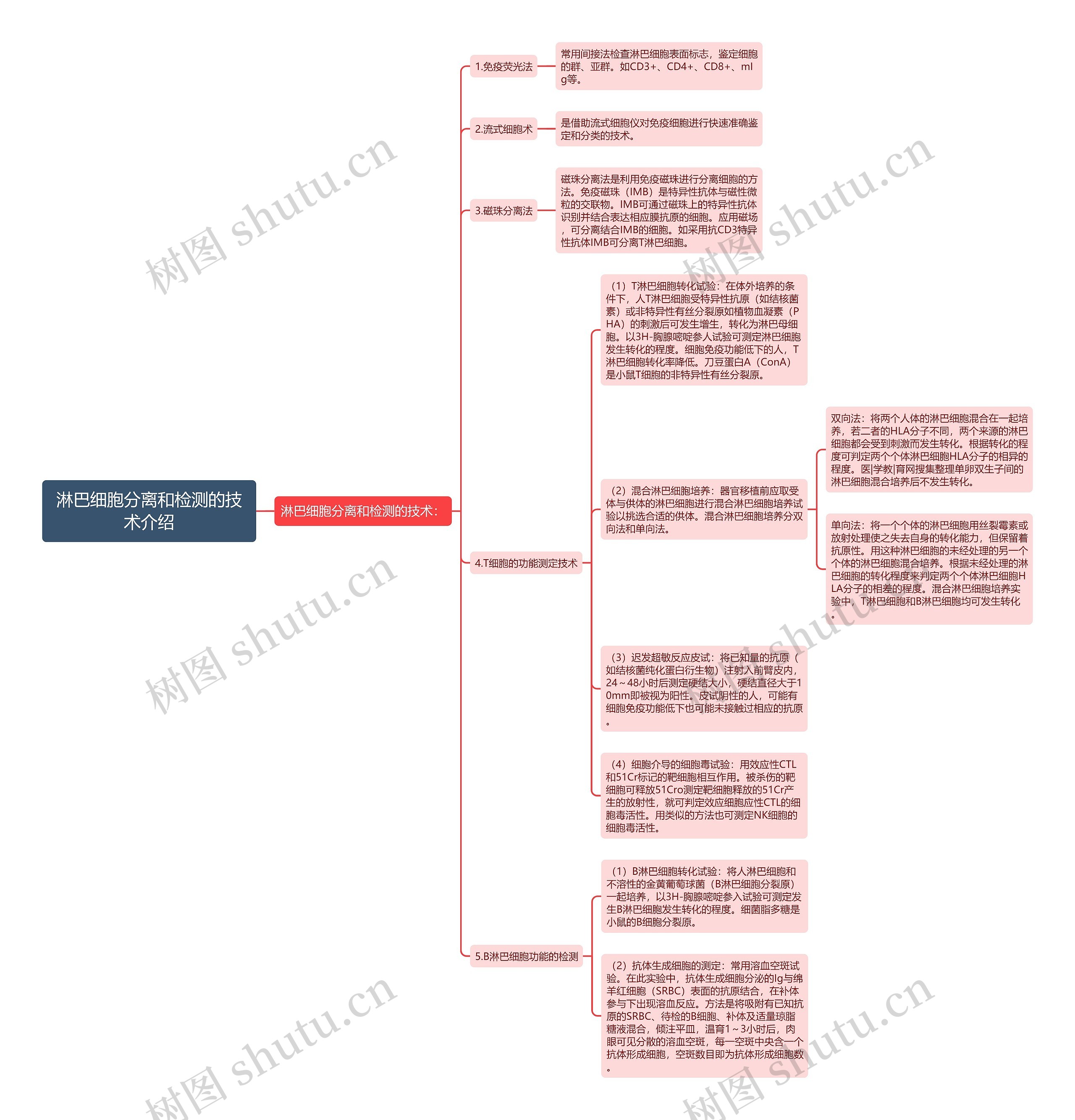 淋巴细胞分离和检测的技术介绍思维导图