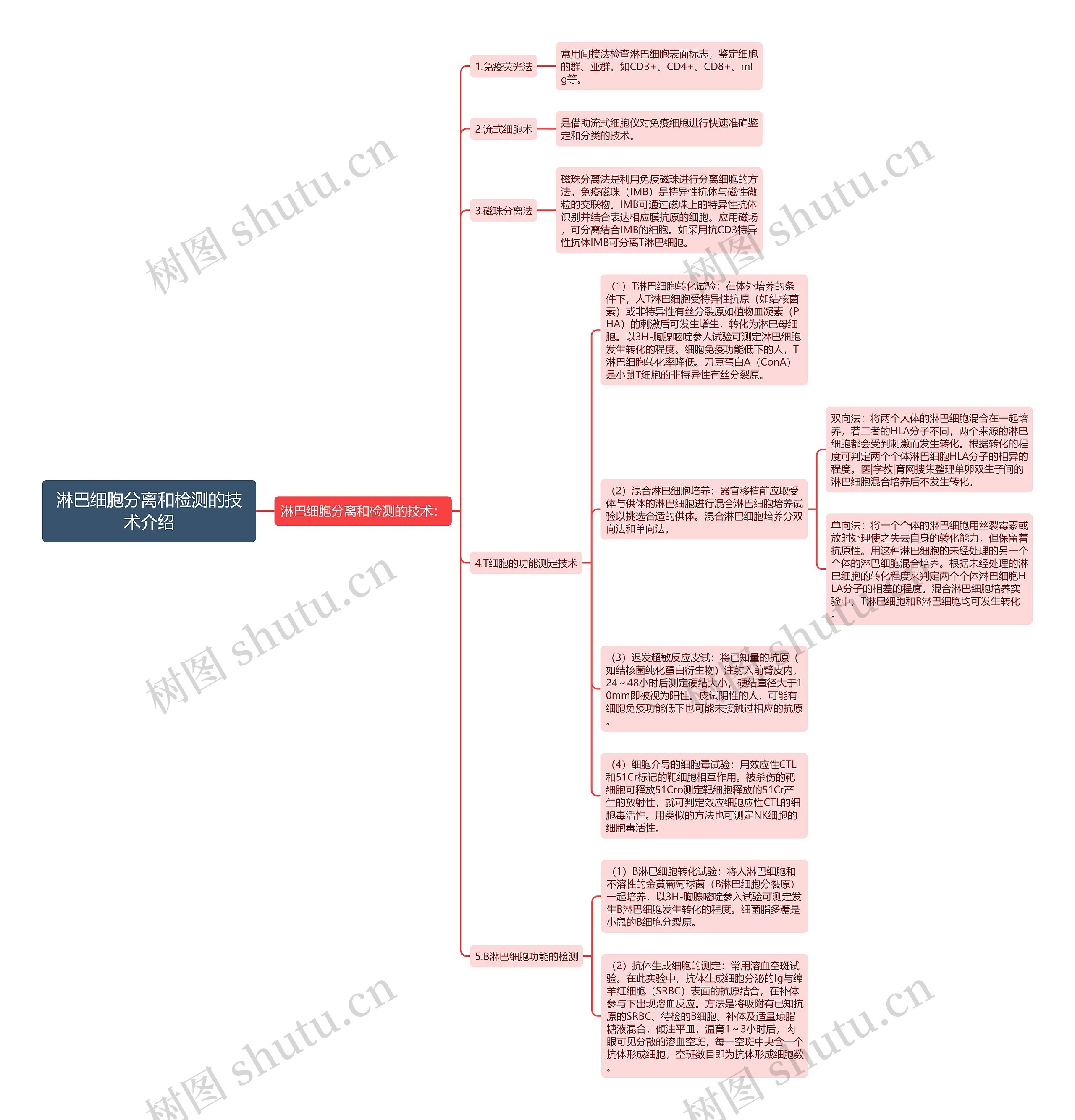 淋巴细胞分离和检测的技术介绍 淋巴细胞分离和检测的技术介绍