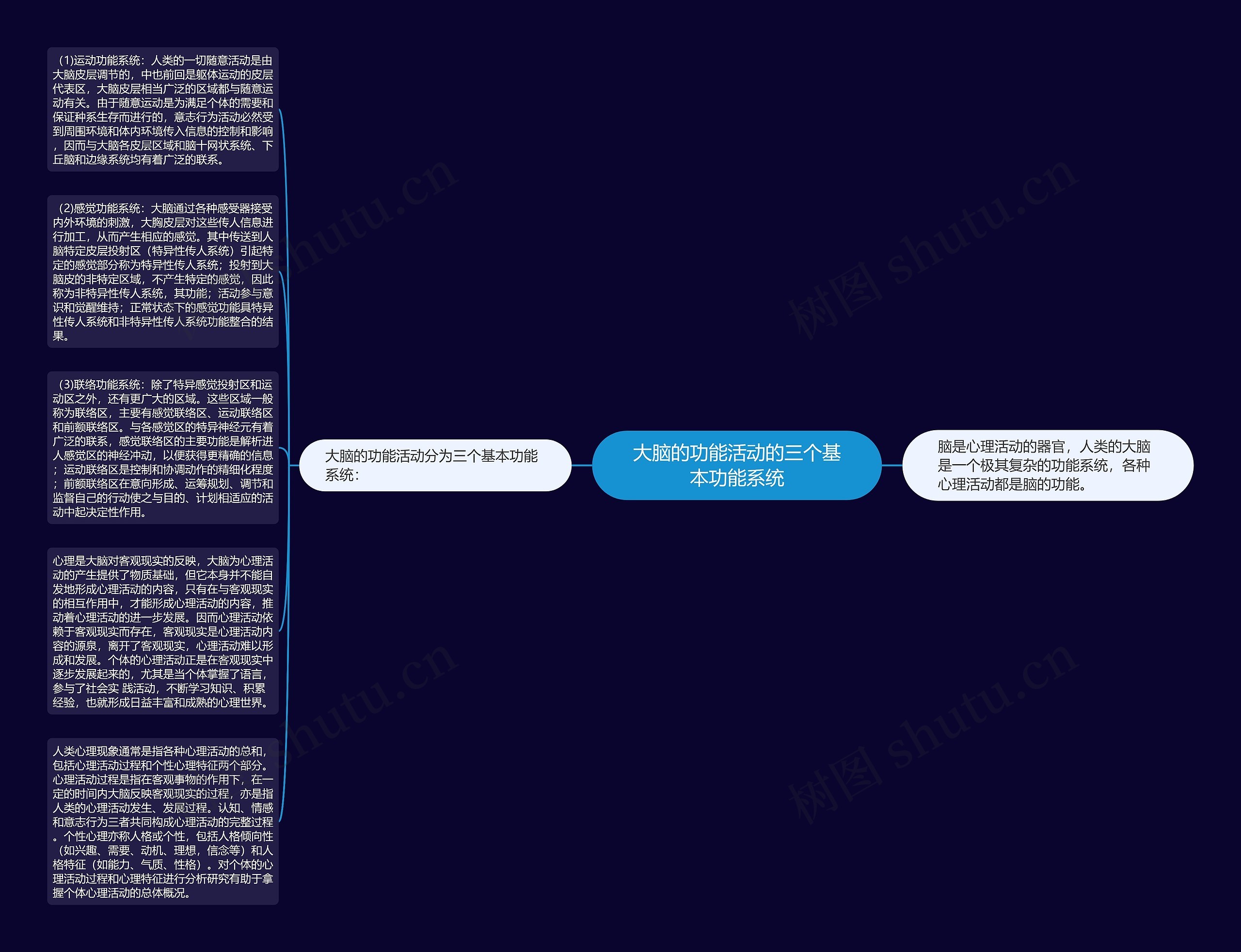 大脑的功能活动的三个基本功能系统