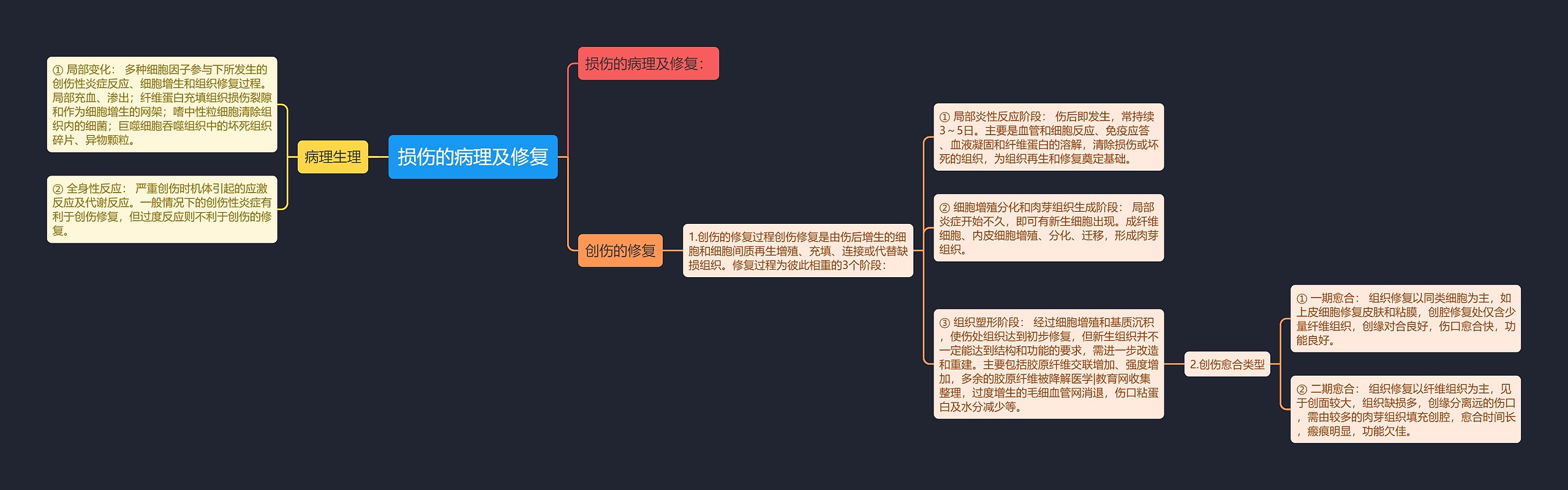 损伤的病理及修复思维导图