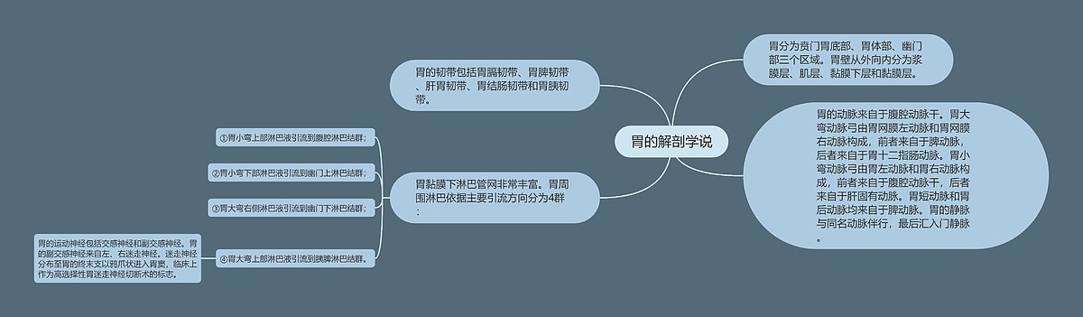 胃的解剖学说思维导图_编号p6795441-TreeMind树图