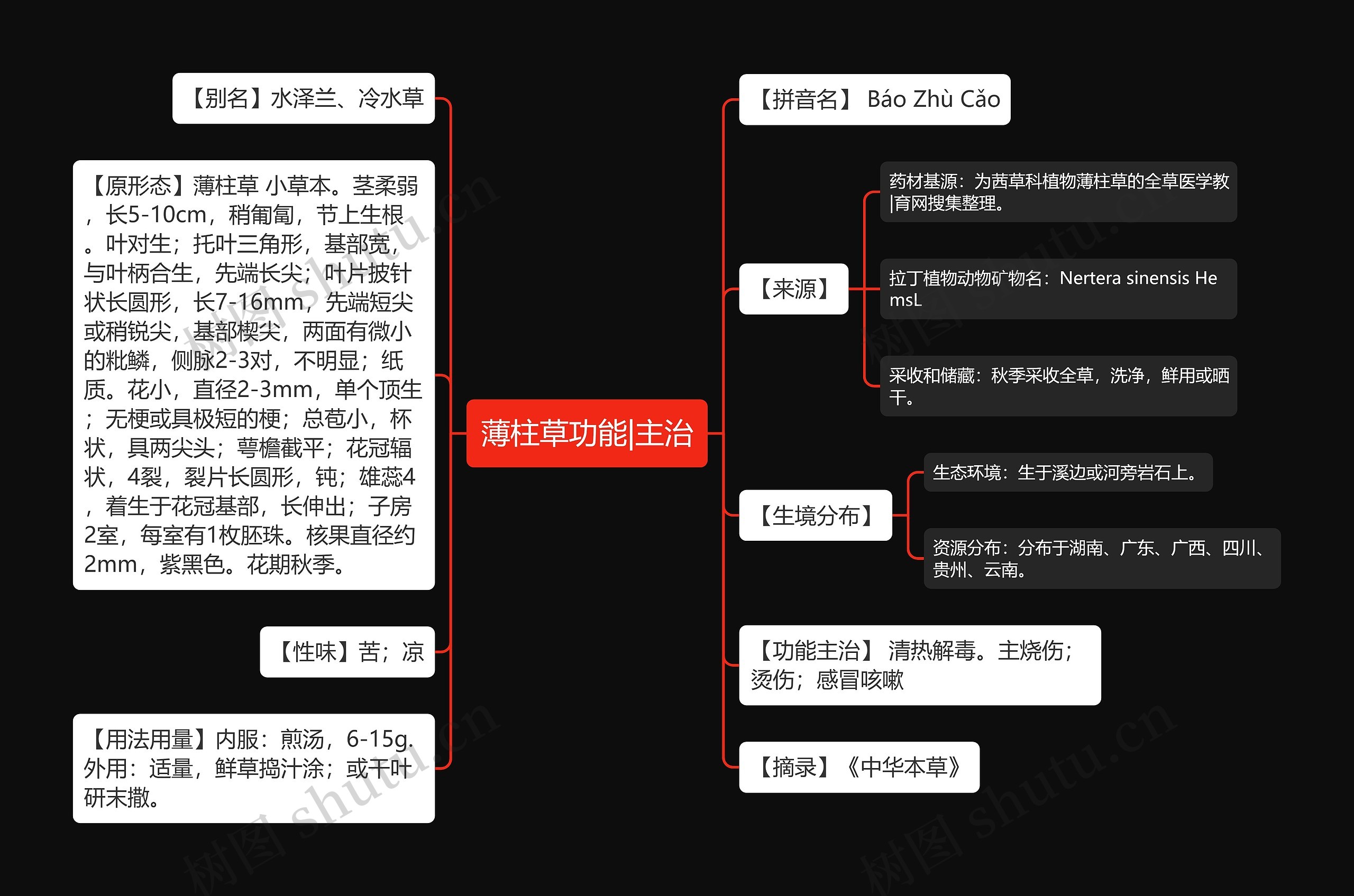 薄柱草功能|主治思维导图