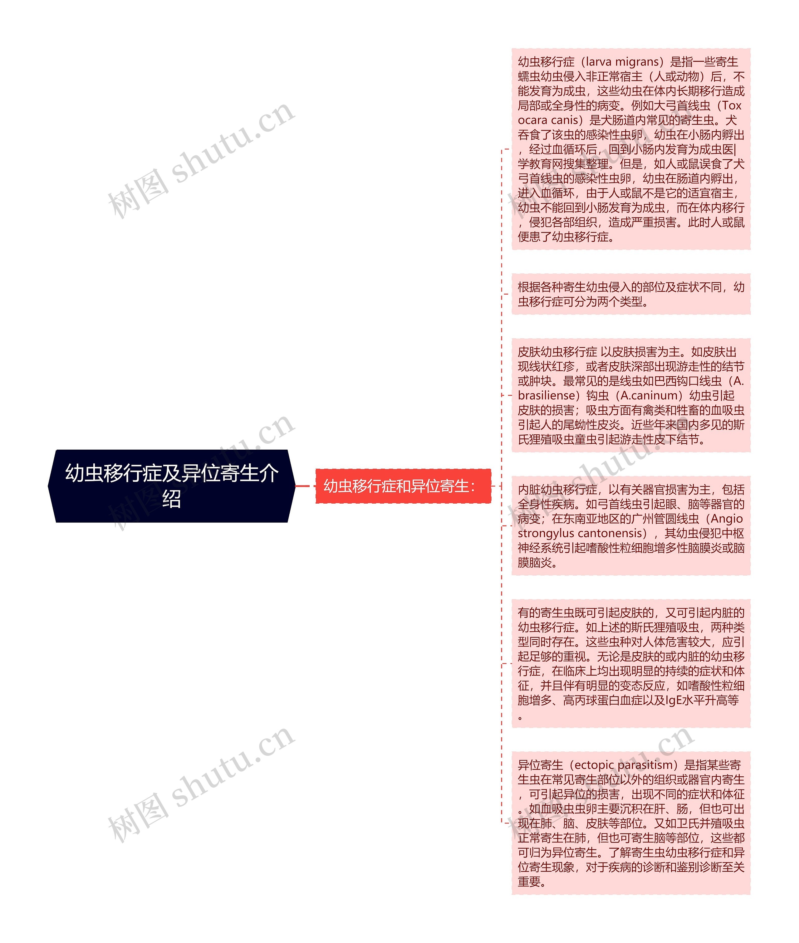 幼虫移行症及异位寄生介绍思维导图