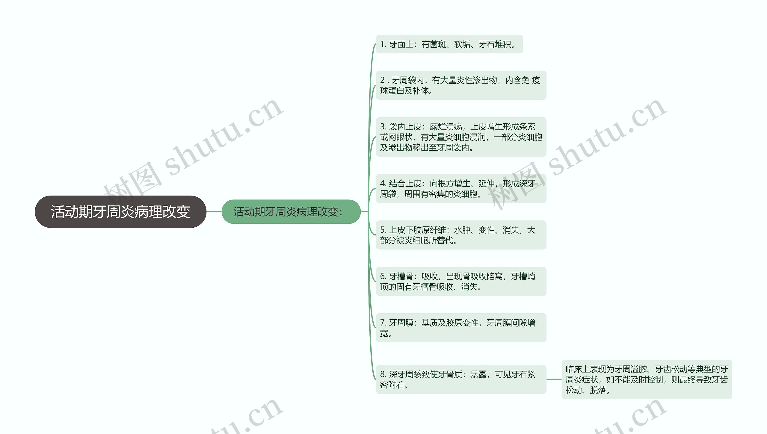 活动期牙周炎病理改变思维导图