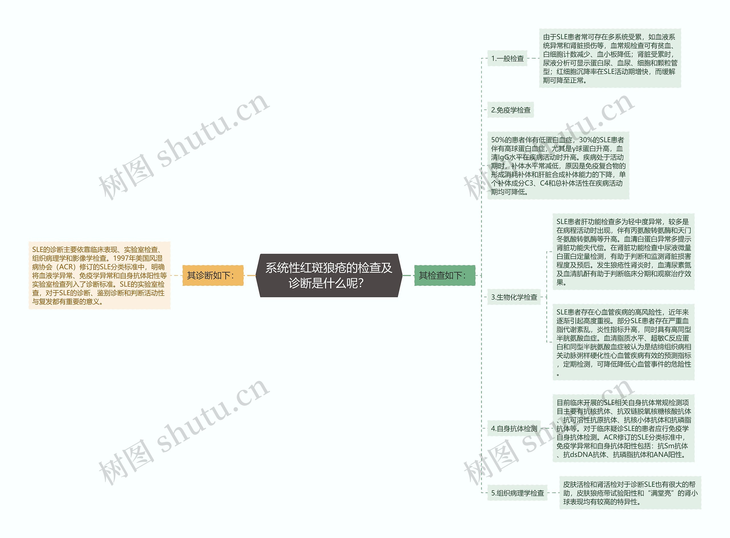 系统性红斑狼疮的检查及诊断是什么呢？思维导图