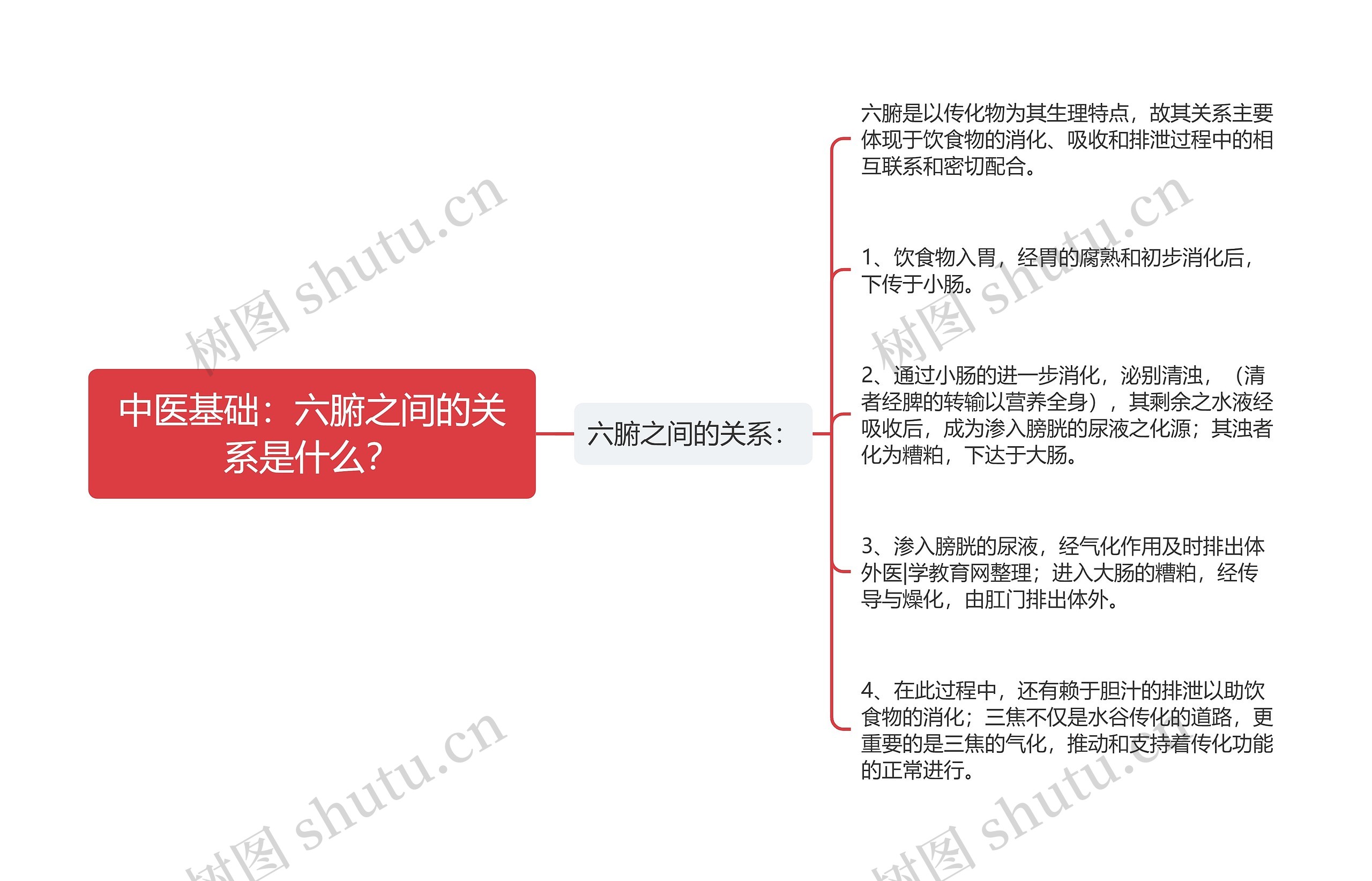 中医基础：六腑之间的关系是什么？思维导图