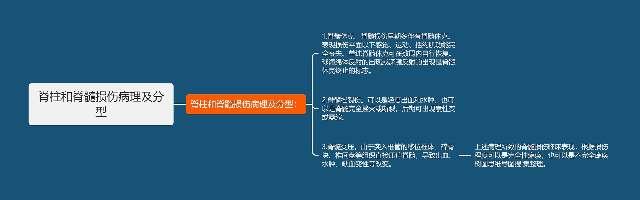 脊柱和脊髓损伤病理及分型