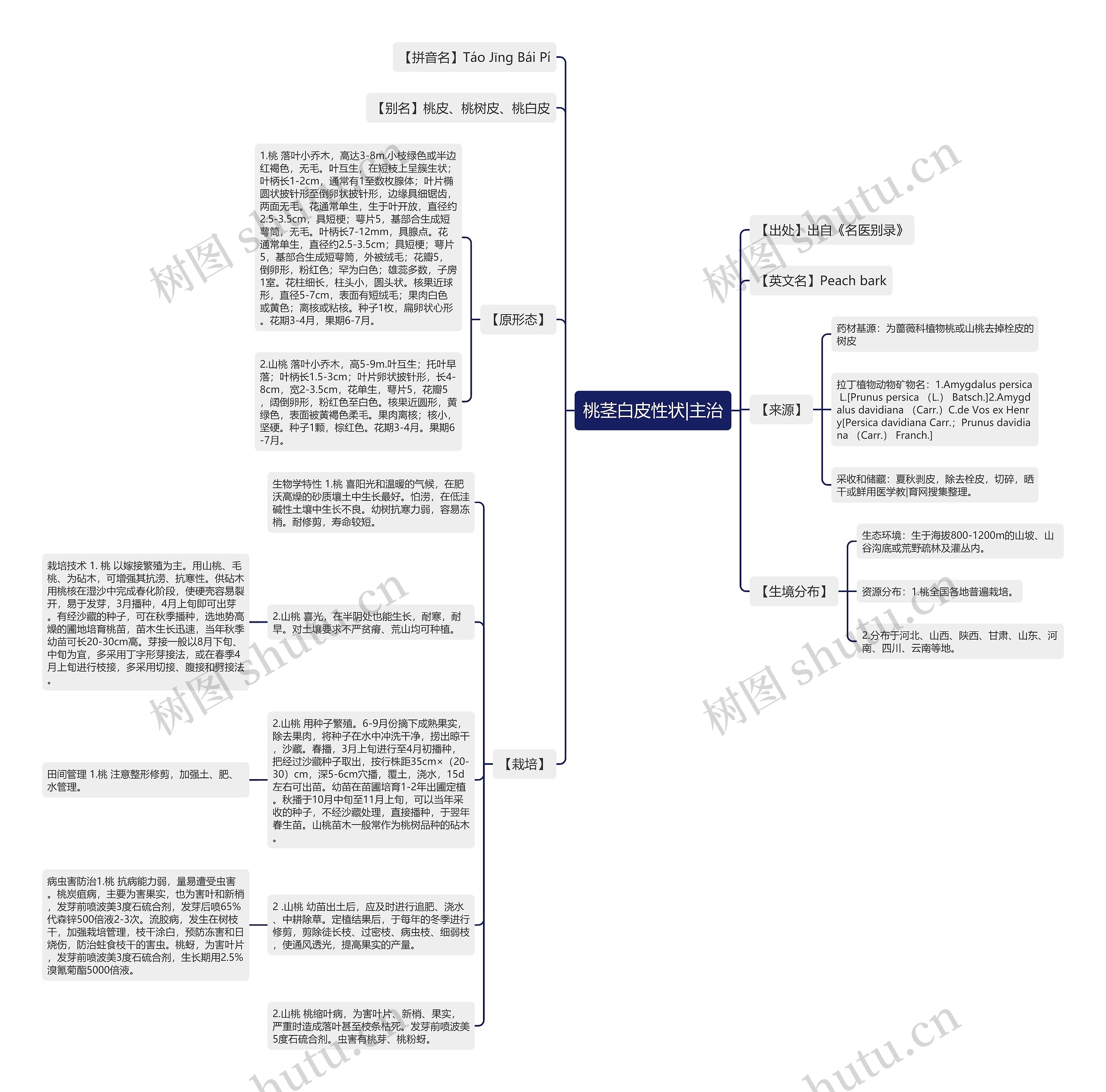 桃茎白皮性状|主治思维导图