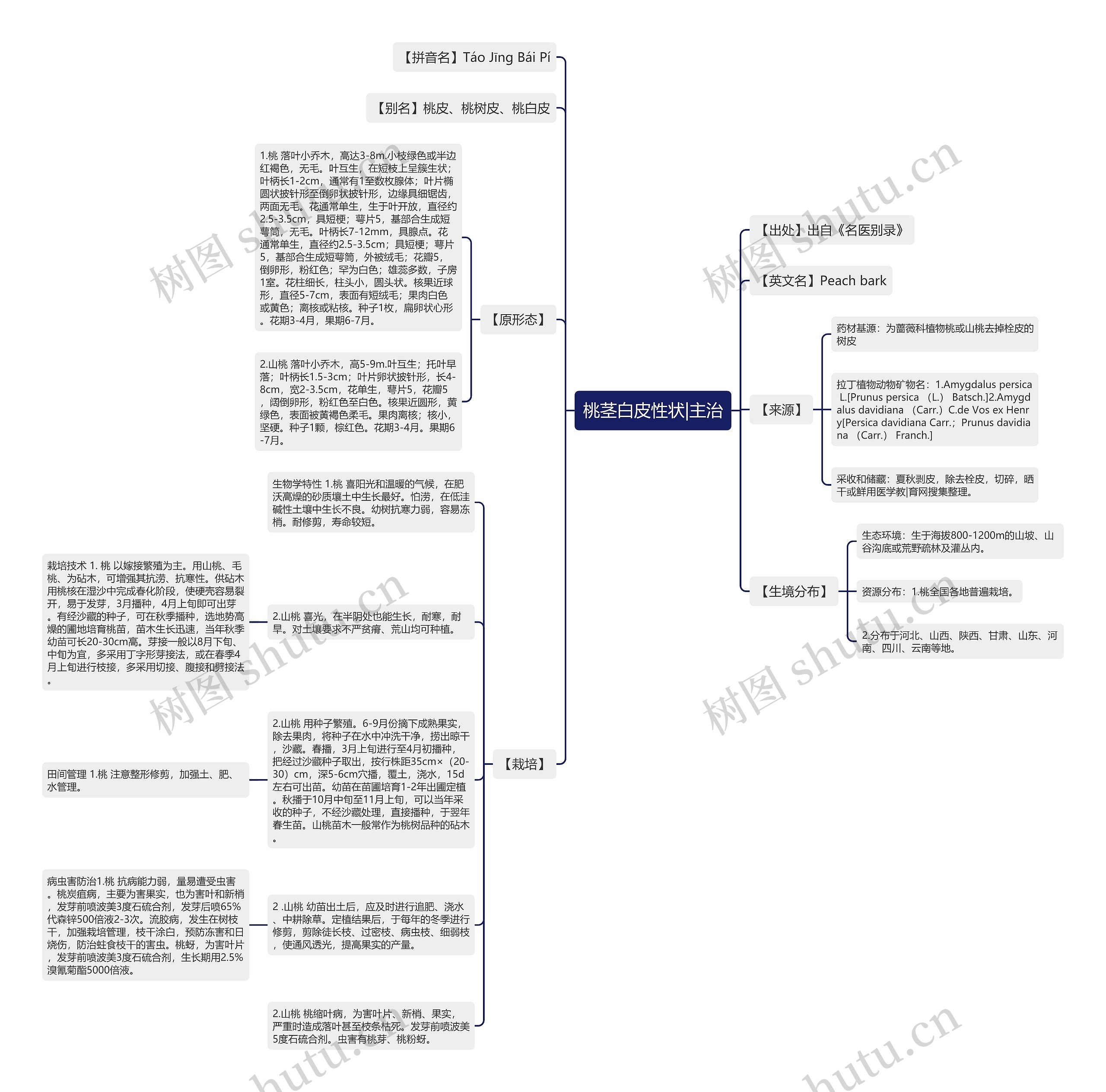 桃茎白皮性状|主治 桃茎白皮性状|主治