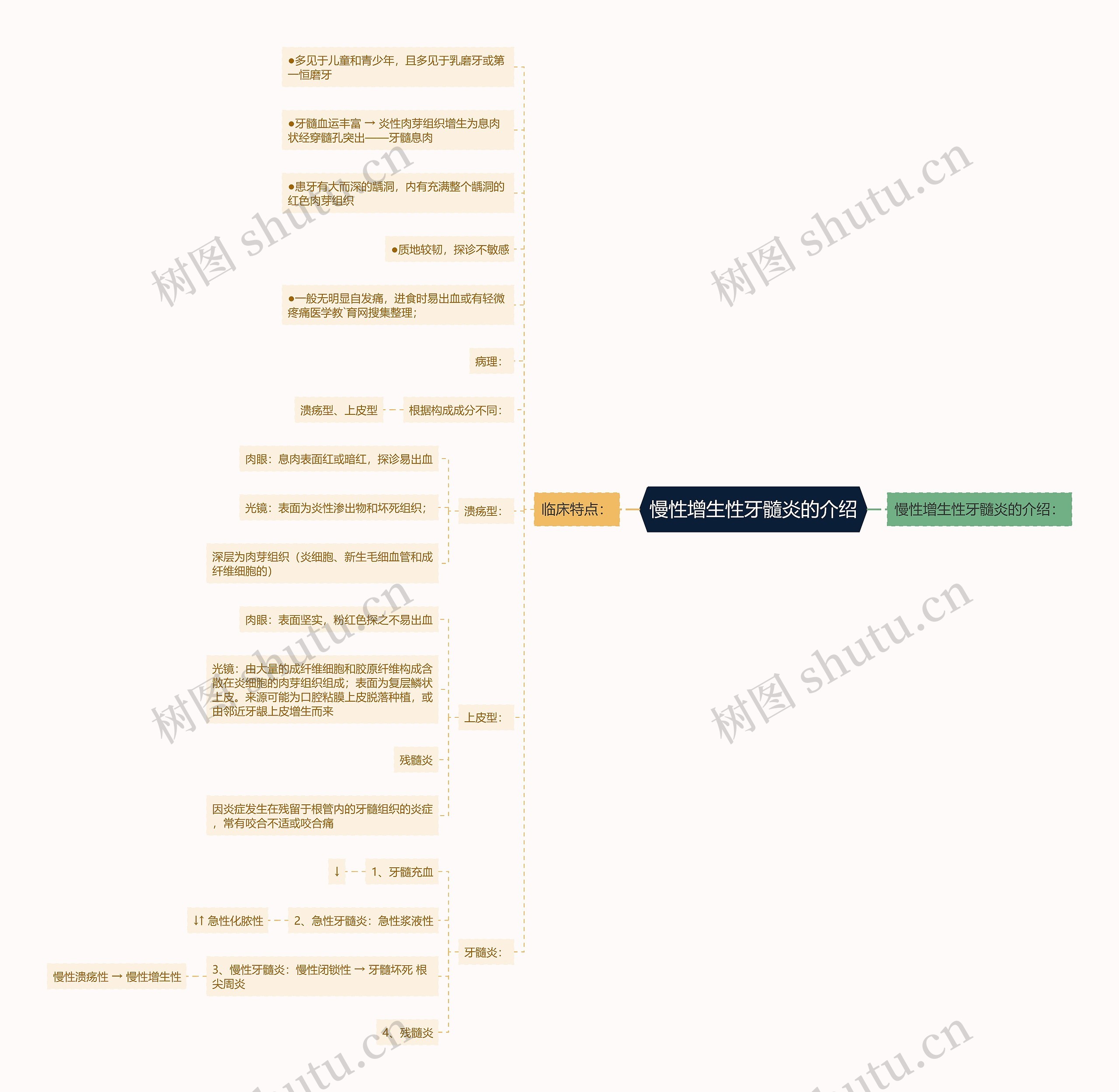 慢性增生性牙髓炎的介绍思维导图