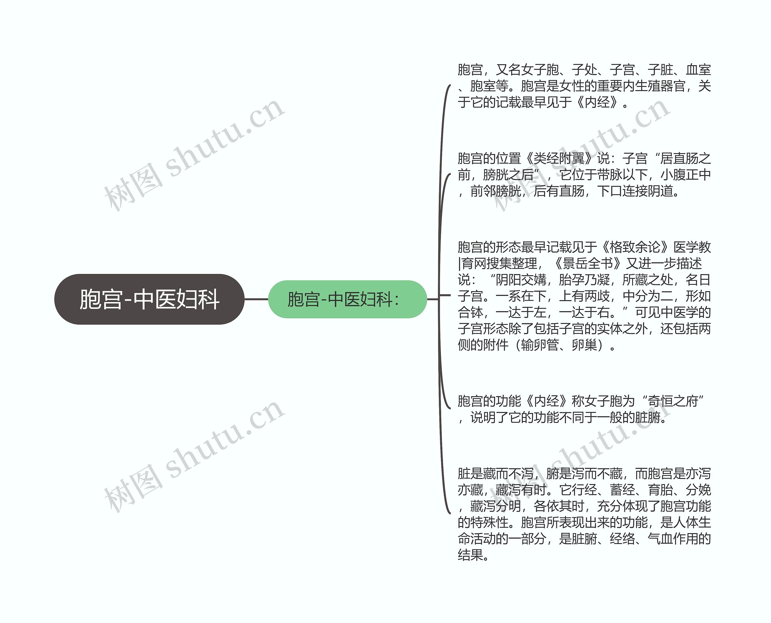 胞宫-中医妇科 胞宫-中医妇科