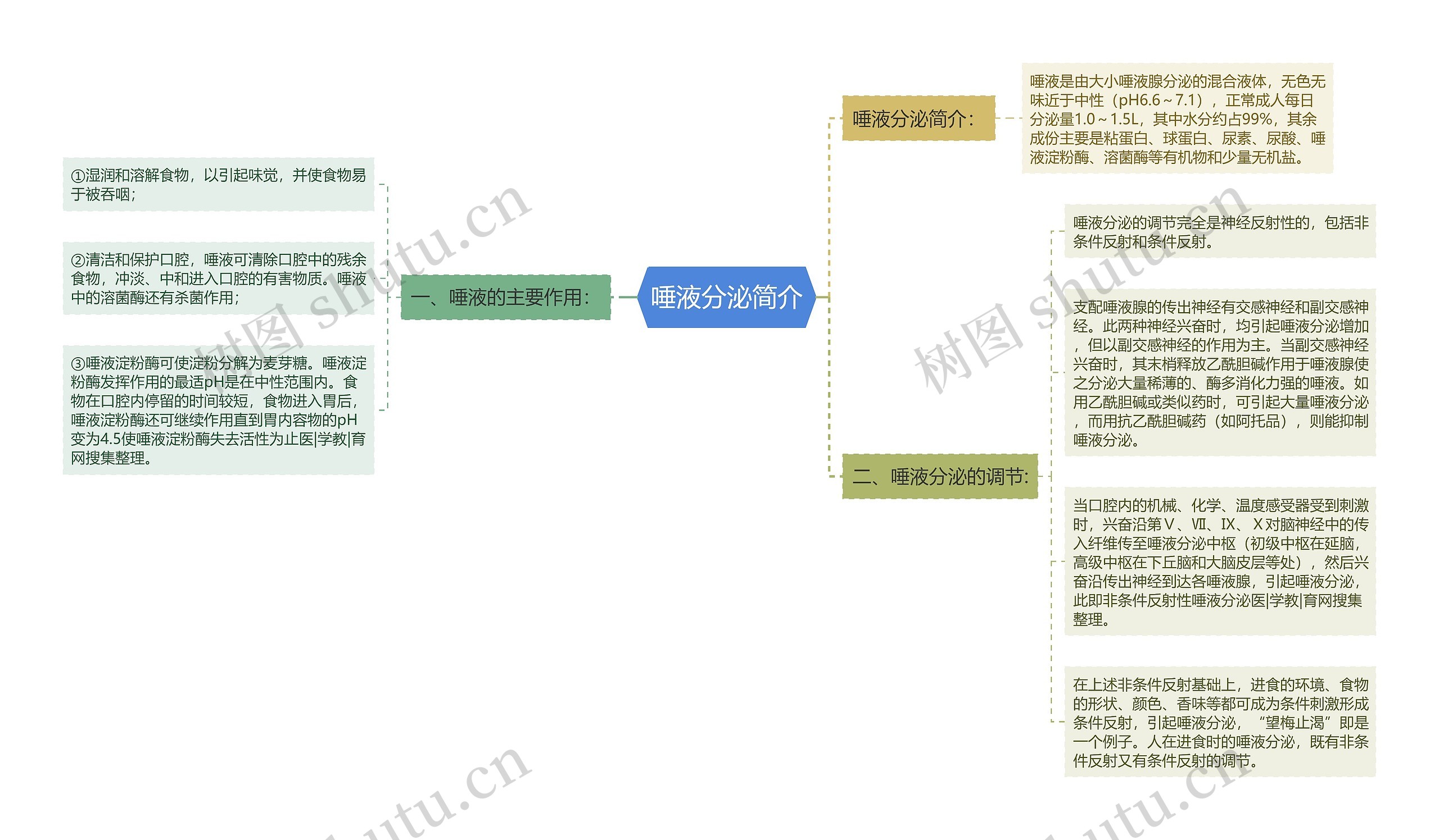 唾液分泌简介